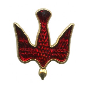 http://www.monticellis.com/1320-1374-thickbox/dove-red-enamel-lapel-pin-gold-plated-mm20-3-4.jpg