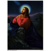 Jesus Praying Print cm.19x26 - 7 1/2"x 10 1/4"