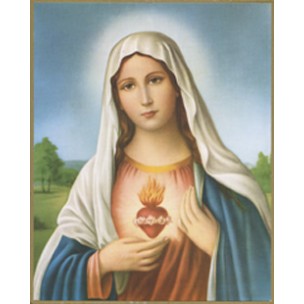 http://www.monticellis.com/156-198-thickbox/immaculate-heart-of-mary-plaque-cm255x205-10x8-1-8.jpg