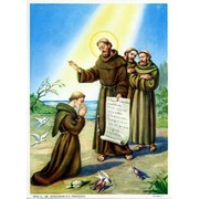 St.Francis Print cm.19x26 - 7 1/2"x 10 1/4"