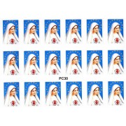 Immaculate Heart of Mary 18 Stickers cm.12x16 - 5"x6"