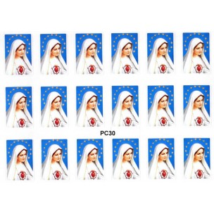 http://www.monticellis.com/1603-1659-thickbox/immaculate-heart-of-mary-18-stickers-cm12x16-5x6.jpg