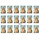 Immaculate Heart of Mary 18 Stickers cm.12x16 - 5"x6"