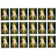Divine Mercy 18 Stickers cm.12x16 - 5"x6"