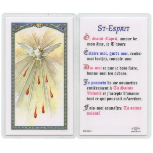 http://www.monticellis.com/1834-1953-thickbox/o-holy-spirit-confirmation-french-text-prayer-card-cm66x-115-2-1-2x-4-1-2.jpg