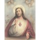 Sacred Heart of Jesus High Quality Print cm.20x25- 8"x10"