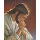 Jesus Praying High Quality Print with Gold cm.20x25- 8"x10"