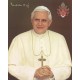 Pope Benedict High Quality Print cm.20x25- 8"x10"