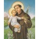 St.Anthony High Quality Print with Gold cm.20x25- 8"x10"