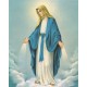 Immaculate Conception High Quality Print cm.20x25- 8"x10"