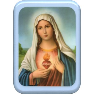 http://www.monticellis.com/2916-3100-thickbox/immaculate-heart-of-mary-plaque-cm-21x29-8-1-2x-11-1-2.jpg