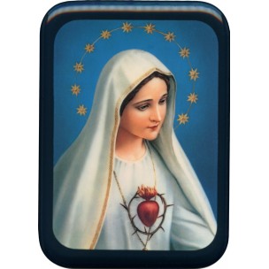 http://www.monticellis.com/2928-3112-thickbox/immaculate-heart-of-mary-plaque-cm-21x29-8-1-2x-11-1-2.jpg