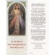 Chaplet of the Divine Mercy Bookmark cm.6x15.5- 2 1/2"x 6 1/8"
