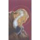 Holy card of Padre Pio cm.7x12- 2 3/4"x 4 3/4"