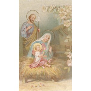 http://www.monticellis.com/3456-3752-thickbox/holy-card-of-the-nativity-cm7x12-2-3-4x-4-3-4.jpg