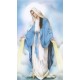 Holy card of the Miraculous cm.7x12- 2 3/4"x 4 3/4"