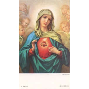 http://www.monticellis.com/3484-3787-thickbox/holy-card-of-the-immaculate-heart-of-mary-cm7x12-2-3-4x-4-3-4.jpg