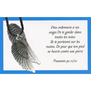 http://www.monticellis.com/4168-4787-thickbox/angel-wing-pendant-with-brown-braided-leather-cord-and-an-english-card.jpg