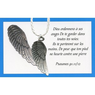 http://www.monticellis.com/4170-4793-thickbox/angel-wing-pendant-with-brown-braided-leather-cord-and-an-english-card.jpg