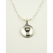 Communion Silver Oxidated Medal + Chain