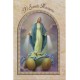 Miraculous/ The Holy Rosary Book Italian Text cm.9.5x15.5 - 3 3/4"x 6"