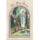 Lourdes/ The Holy Rosary Book English Text cm.9.5x15.5 - 3 3/4"x 6"