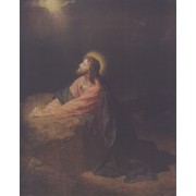 Jesus Praying High Quality Print cm.20x25- 8"x10"