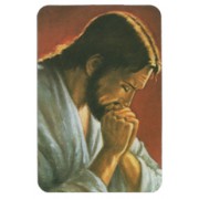 Jesus Praying Fridge Magnet cm.4x6 - 2 1/2"x4 1/4"